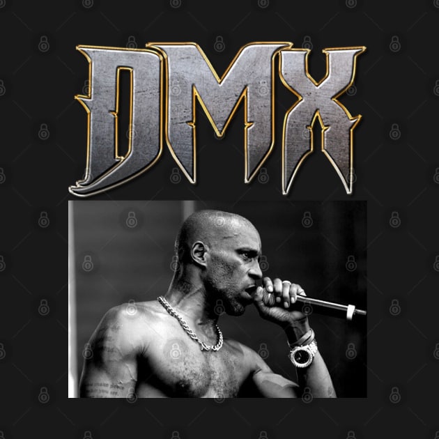 DMX Show Tour by Vamp Pattern