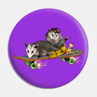 Rebellious Opossums On A Skateboard With Trash Pin