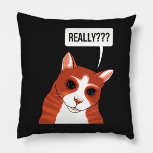 Really? Cute Ginger cat watching you a bit worried Pillow