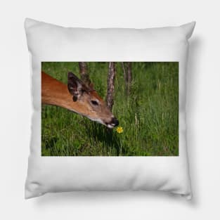 Spring is here! White-tailed deer Pillow