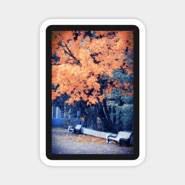 Autumn Park Magnet by cinema4design