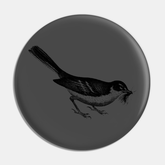 vintage bird pin