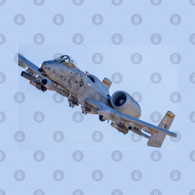 A-10 Warthog Flyover by acefox1