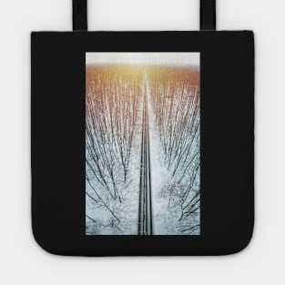 Road through winter forest Tote