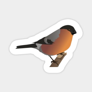 Bullfinch Bird Magnet