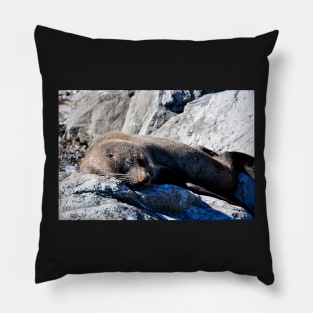 Phoque faisant la sieste sur un rocher Pillow