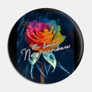 Inspirational life quote and rainbow rose Pin