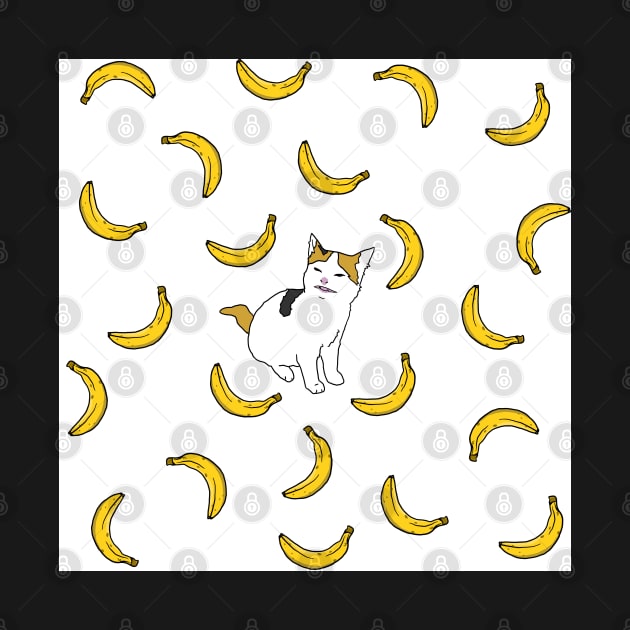 Cat no like banana by sivelobanova