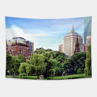 Boston MA - View From Boston Public Garden Tapestry