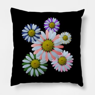 daisy bloom, blooming flower, flowery, daisies, petals Pillow