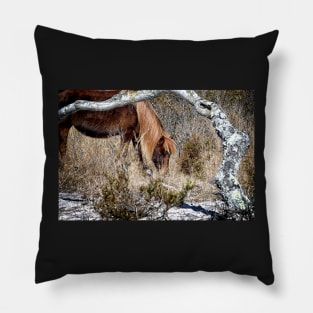 Lunchtime for Assateague Pony Gokey Gogo Bones Pillow