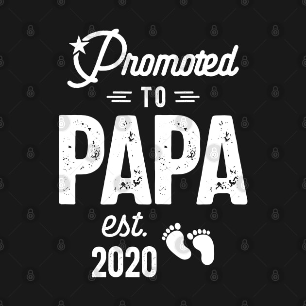 Mens Promoted To Papa Est. 2020 Baby Gift For New Daddy by cidolopez