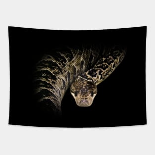 Cuban boa Tapestry