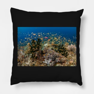 Heaven's garden Pillow