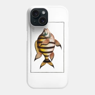 Chaetodon marginatus (1785–1797) Phone Case