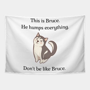 Don't be like Bruce! Tapestry