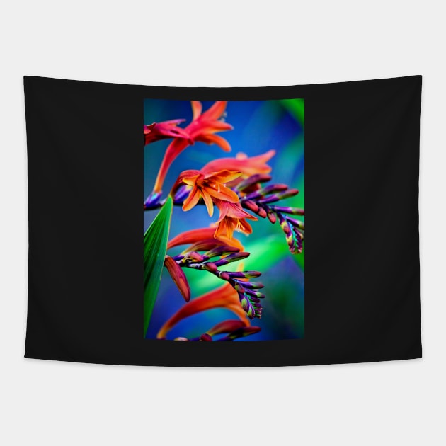 Blooming Crocosmia Tapestry by InspiraImage