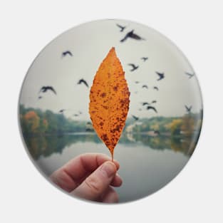 autumnal mood Pin