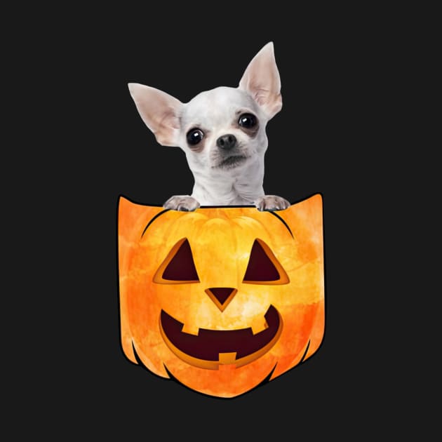 White Chihuahua Dog In Pumpkin Pocket Halloween by nakaahikithuy