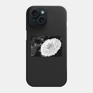 White blossoming chrysanth, black and white flower photography Phone Case