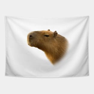 Capybara Tapestry