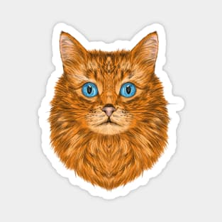 Cute Cat protrait Magnet