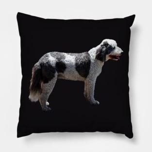 Portuguese Water Dog Pillow