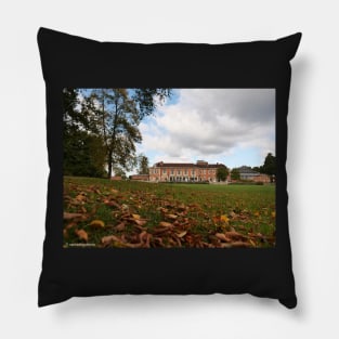 Autumn leaves in front of South Hill Park Arts centre Pillow