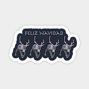 Feliz Navidad Magnet