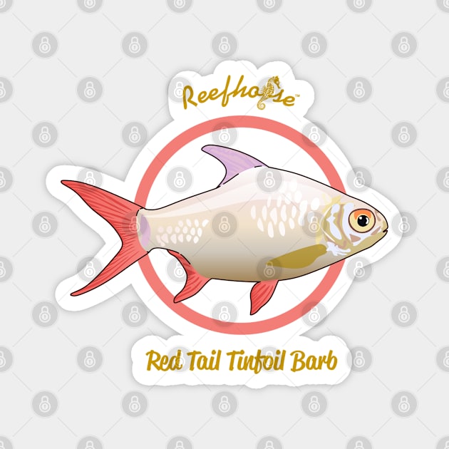 Red Tail Tinfoil Barb Magnet by Reefhorse