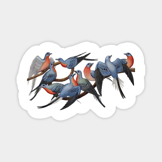 Passenger Pigeons Magnet by JadaFitch