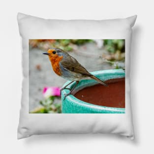 Robin Red Breast Bird Photography Poster Pillow