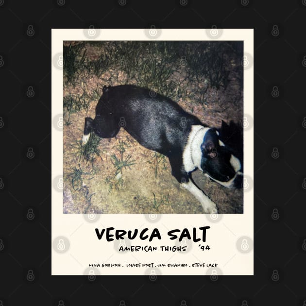 Veruca Salt -  American Thighs. 90's alternative rock band by MiaouStudio