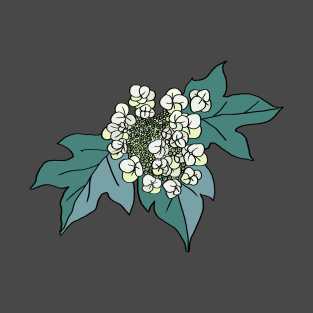 Alabama State Wildflower : Oak-Leaf Hydrangea T-Shirt