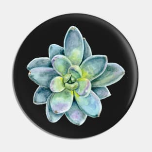 Sublime Succulent Pin