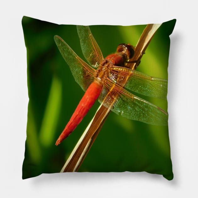 Hang on Pillow by FriendlyComputerHelp