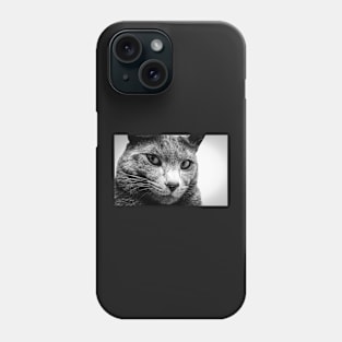 Portrait of a cat Phone Case