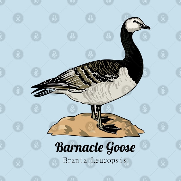 Barnacle Goose by Frajtgorski