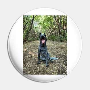 Yawning Dog Pin