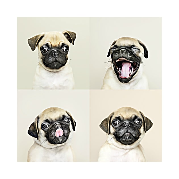 The Four Faces Of Pug by cameradog