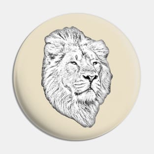 Lion face drawing conversion Pin