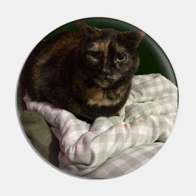 Sweet Tortie Pin by Amanda1775