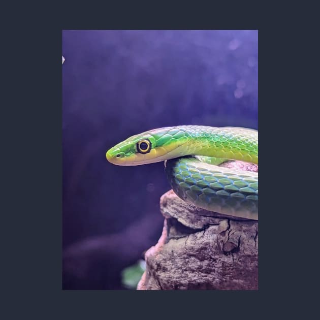 Green Python Snake by searchlight