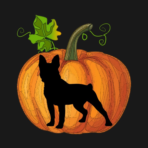 Boston terrier in pumpkin by Flavie Kertzmann