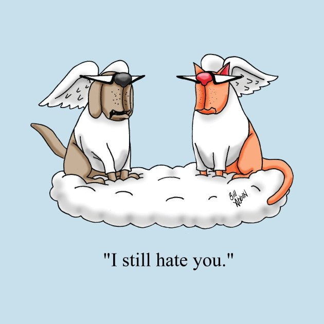 Funny Dog And Cat Angel Cartoon Humor