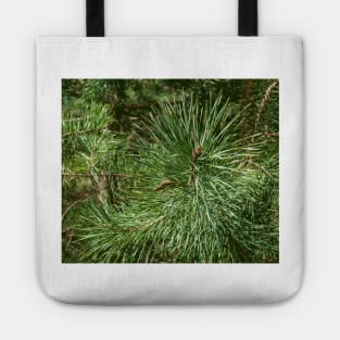 Pine, pine pattern, even as a Christmas motif Tote