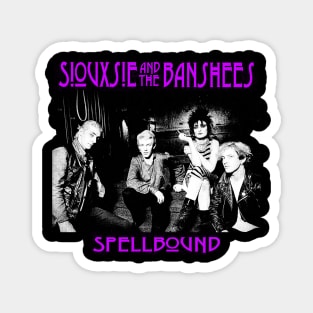 Siouxsie and the Banshees Magnet