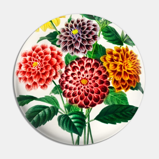 Dahlia Pin by WAITE-SMITH VINTAGE ART