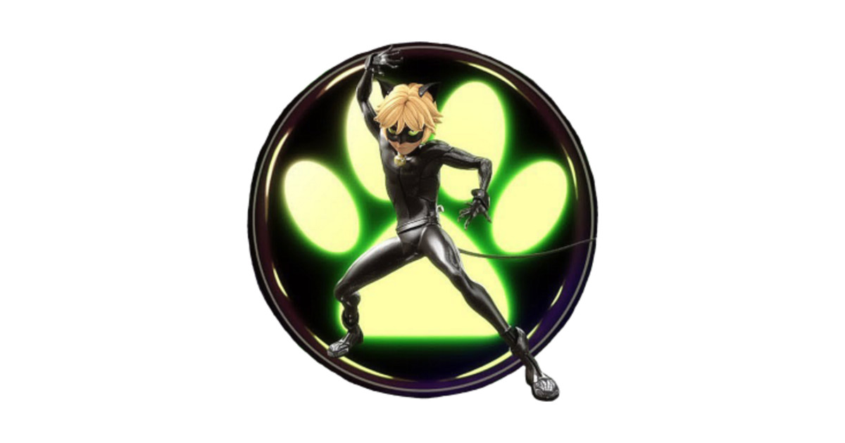 Cat Noir Miraculous Ladybug Hoodie TeePublic
