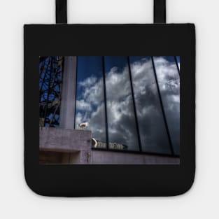 Reflected Clouds Tote